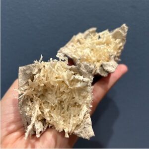 fundrasier the best fire starter camping bonfire rustic burn